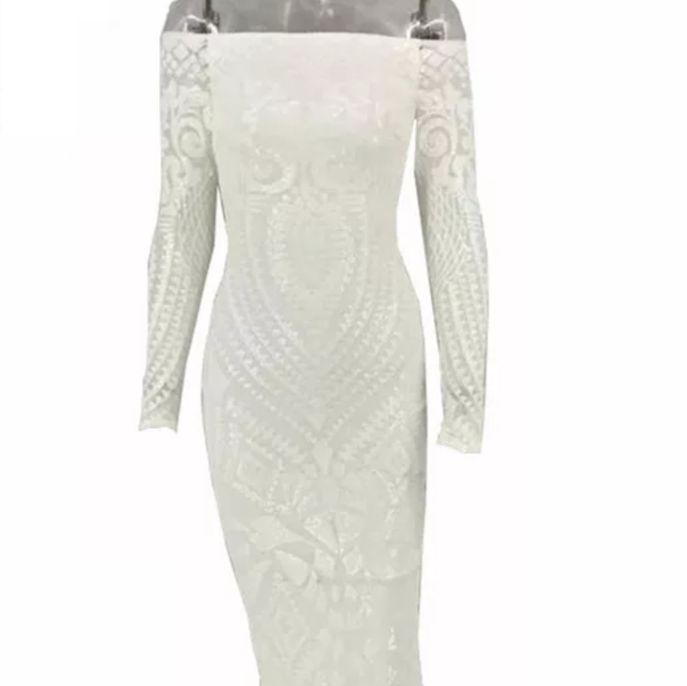 NEVER WORN Mmermaid lace dress